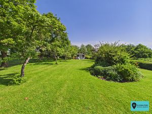 Garden - click for photo gallery